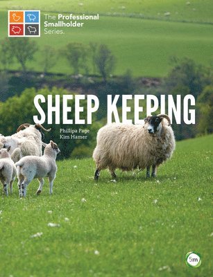 Sheep Keeping 1