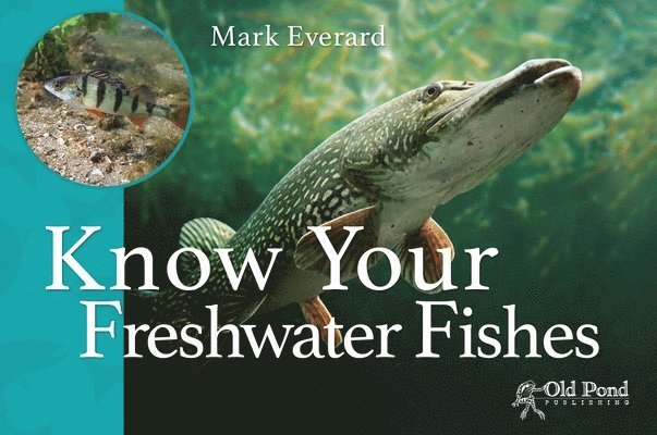 Know Your Freshwater Fishes 1