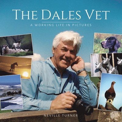 The Dales Vet 1