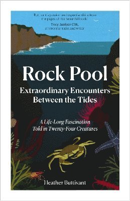 bokomslag Rock Pool