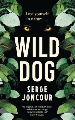 Wild Dog: Sinister and savage psychological thriller 1