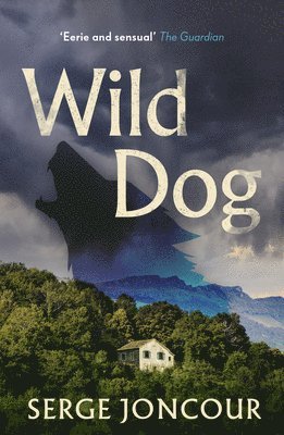 bokomslag Wild Dog: Sinister and savage psychological thriller