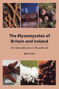 bokomslag The Myxomycetes of Britain and Ireland