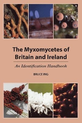 The Myxomycetes of Britain and Ireland 1