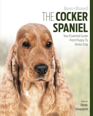 Derek Shapland - Cocker Spaniel Best of Breed, Häftad