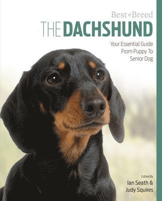 Ian Seath, Judy Squires - Dachshund Best of Breed, Häftad