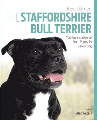 Alec Waters - Best of Breed Staffordshire Bull Terrier, Häftad