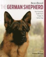 Andrew Winfrow - German Shepherd Dog, Häftad