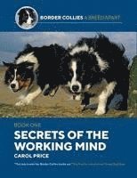 Carol Price - Secrets Of The Working Mind, Häftad