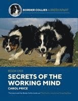 Secrets Of The Working Mind 1