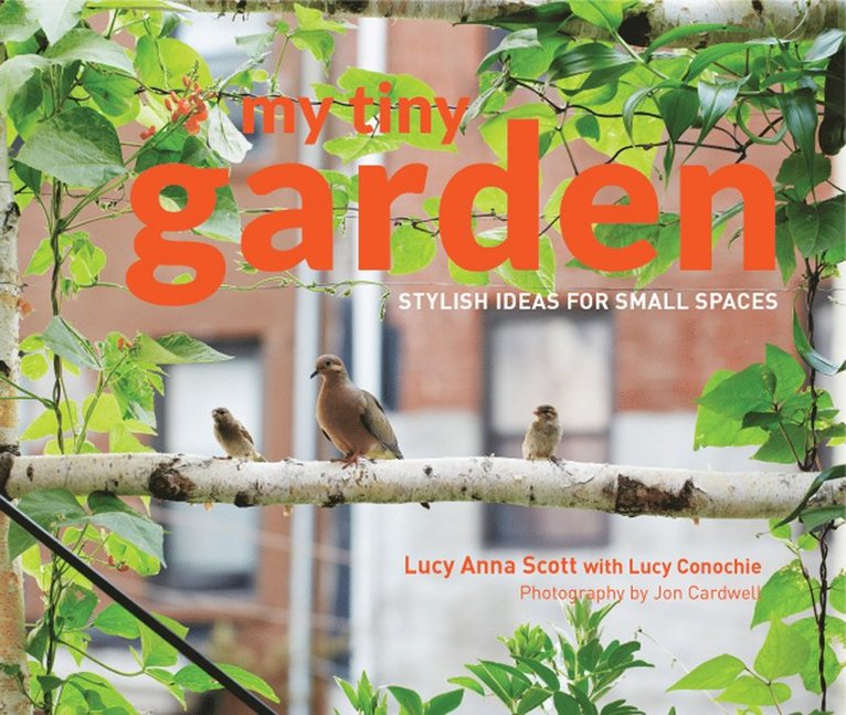 Lucy Scott, Jon Cardwell - My Tiny Garden, Inbunden