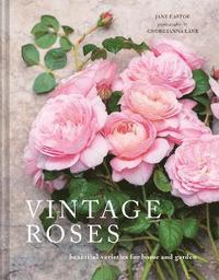 bokomslag Vintage Roses