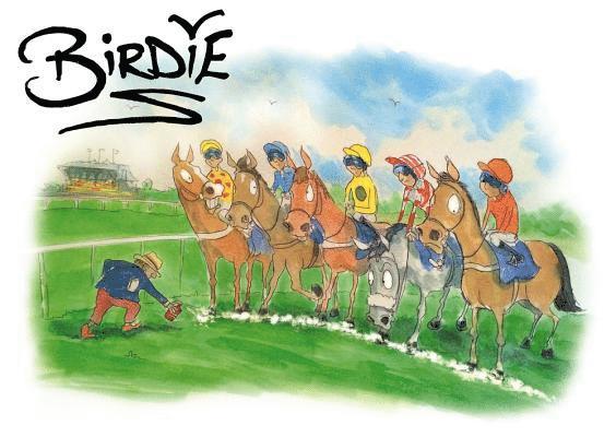 Darren Bird - Birdie: The Best of Darren Bird, Inbunden