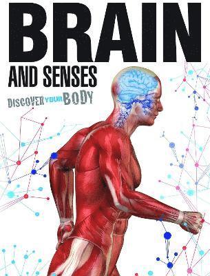 bokomslag Brain and Senses