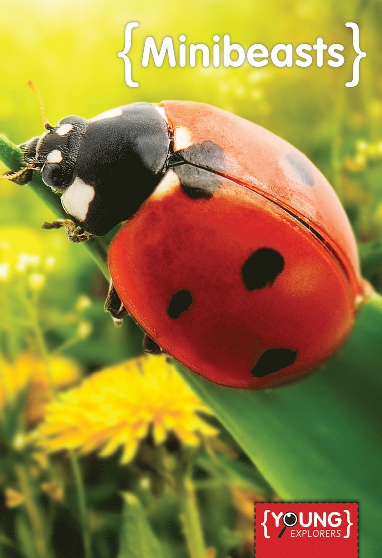 Jim Pipe - Minibeasts, Inbunden