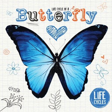 bokomslag Butterfly