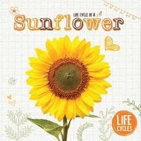 bokomslag Sunflower