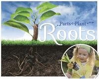 bokomslag Roots
