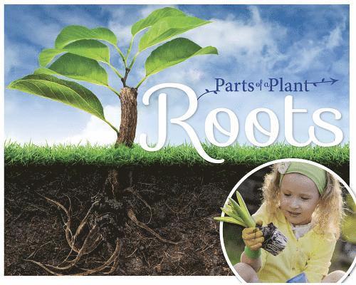 Roots 1