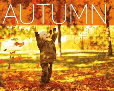 bokomslag Autumn