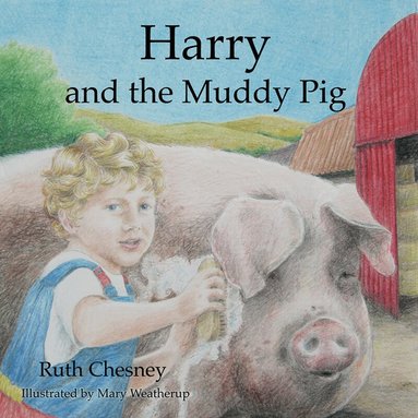 Ruth Chesney - Harry and the Muddy Pig, Häftad