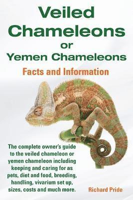 bokomslag Veiled Chameleons or Yemen Chameleons