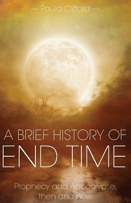 bokomslag A Brief History of End Time