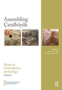 bokomslag Assembling Çatalhöyük