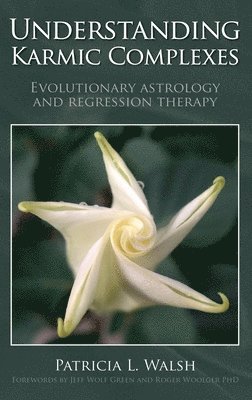 Understanding Karmic Complexes