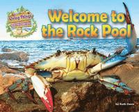 bokomslag Welcome to the Rock Pool