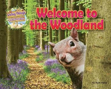 bokomslag Welcome to the Woodland