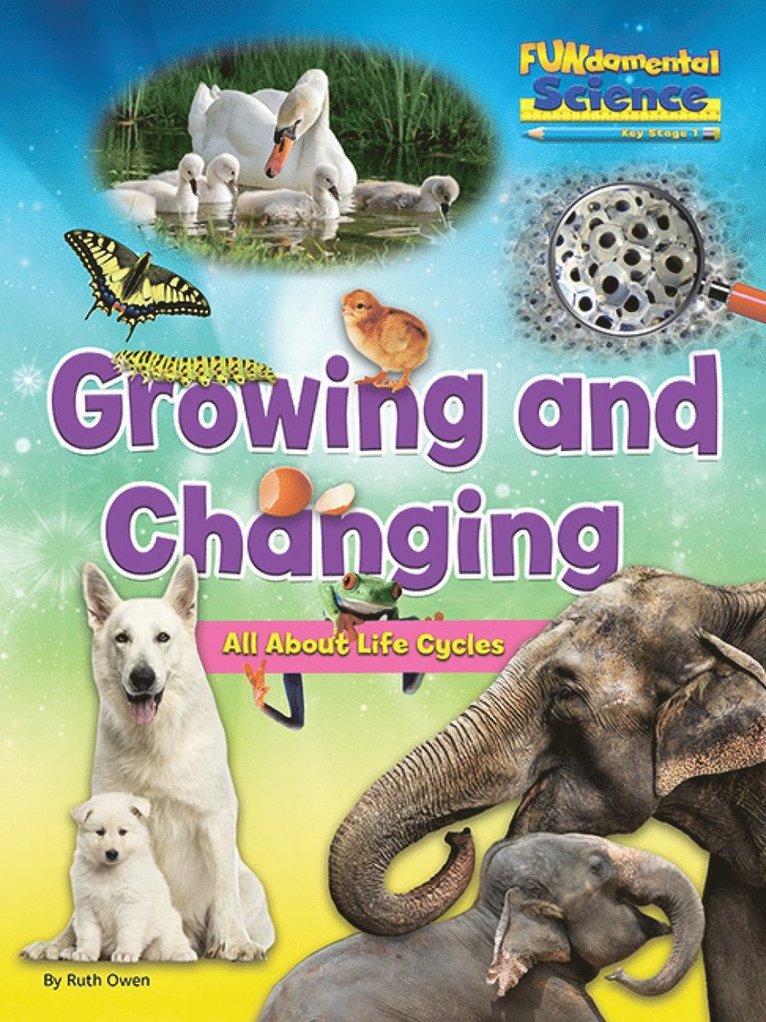 Growing And Changing - All About Life Cycles