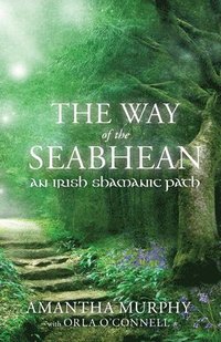 bokomslag The Way of the Seabhean