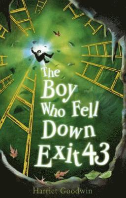 Boy Who Fell Down Exit 43