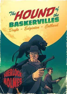 bokomslag Hound of the Baskervilles