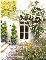 Viraj Chatterjee - My Courtyard, Inbunden