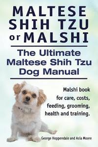 bokomslag Maltese Shih Tzu or Malshi. The Ultimate Maltese Shih Tzu Dog Manual. Malshi book for care, costs, feeding, grooming, health.