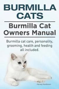 bokomslag Burmilla Cats. Burmilla Cat Owners Manual. Burmilla cat care, personality, grooming, health and feeding all included.