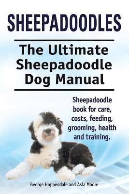 bokomslag Sheepadoodles. Ultimate Sheepadoodle Dog Manual. Sheepadoodle book for care, costs, feeding, grooming, health and training.