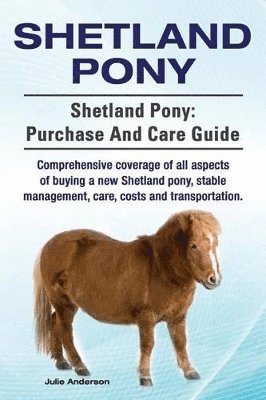 Shetland Pony. Shetland Pony 1