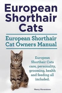 bokomslag European Shorthair Cats. European Shorthair Cat Owners Manual. European Shorthair Cats care, personality, grooming, health and feeding all included.