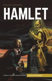 bokomslag Hamlet: the Prince of Denmark