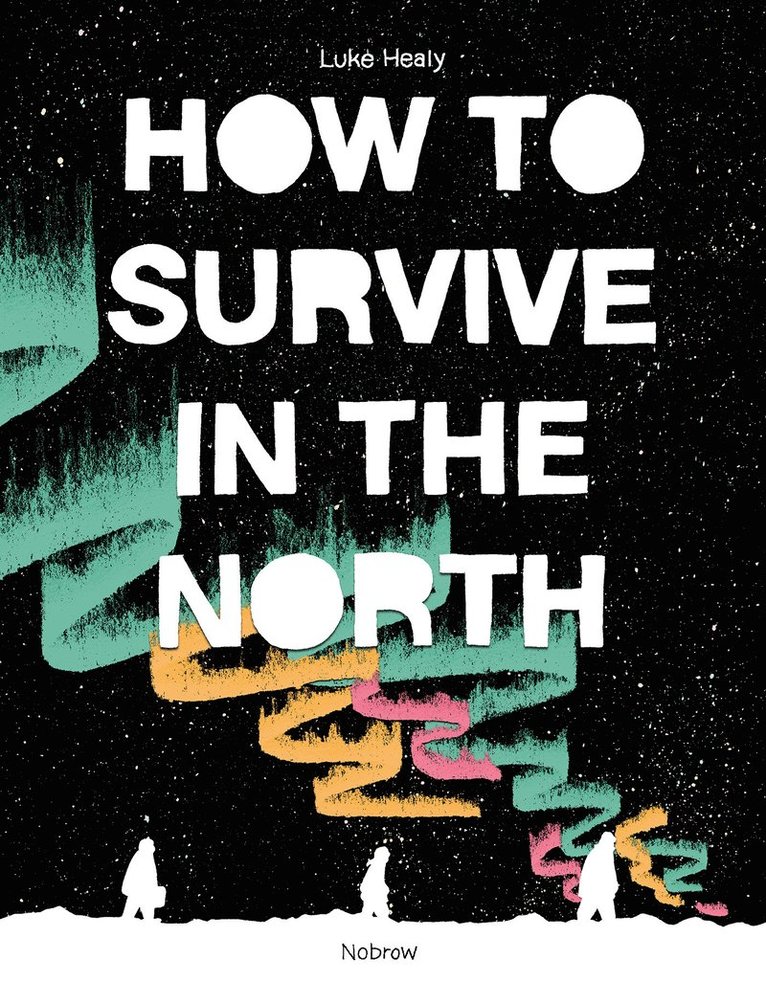 Luke Healy - How to Survive in the North, Häftad