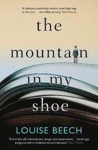 bokomslag The Mountain in my Shoe