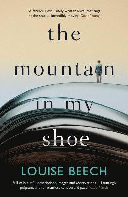 bokomslag The Mountain in my Shoe