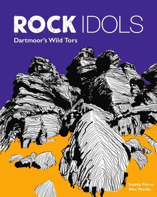 bokomslag Rock Idols