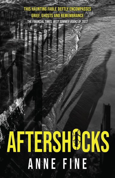 Anne Fine - Aftershocks, Häftad