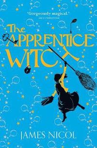 bokomslag The Apprentice Witch