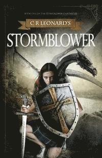 bokomslag Stormblower