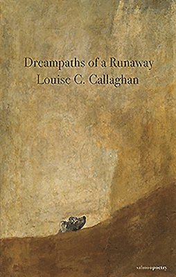 Dreampaths Of A Runaway 1